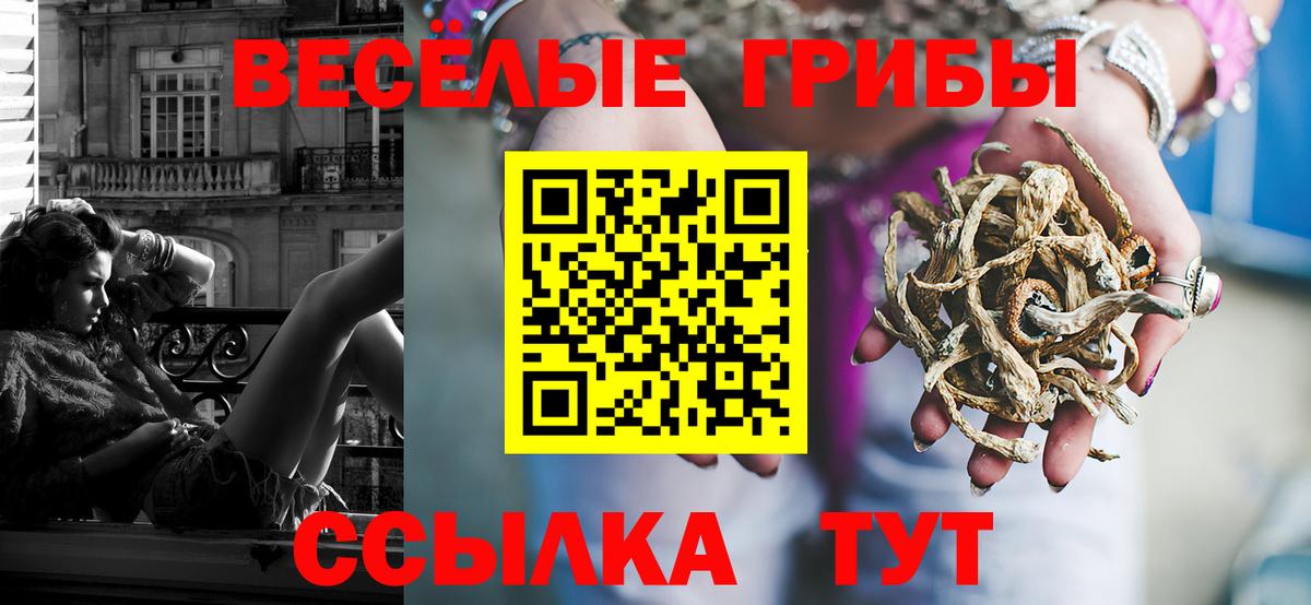 Тамбов  где можно купить наркотик  Вход с VPN  Псилоцибиновые грибы GOLDEN TEACHER 